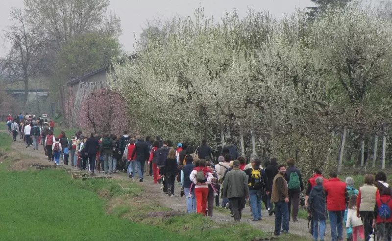 Camminata tra i frutteti in fiore