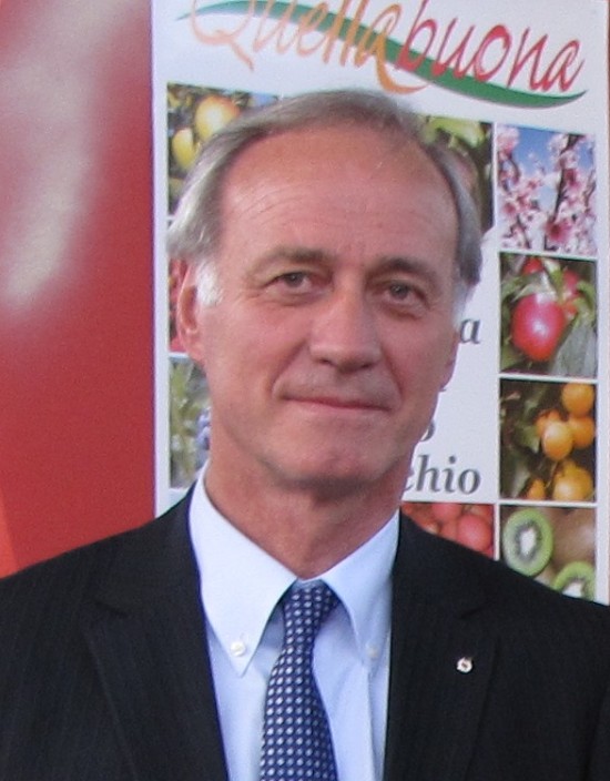 Domenico Sacchetto