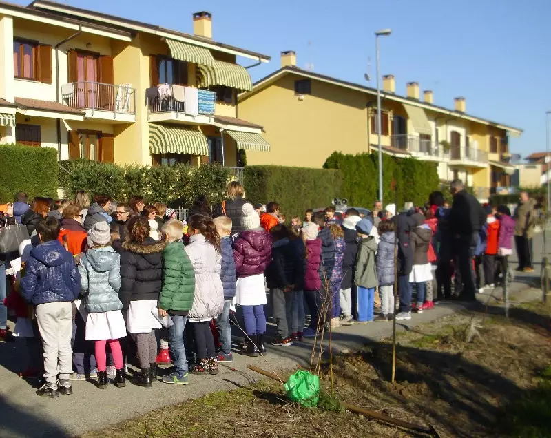 Festa degli alberi