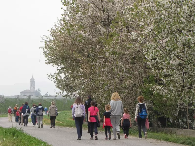 PASSEGGIATA TRA I FRUTTETI IN FIORE