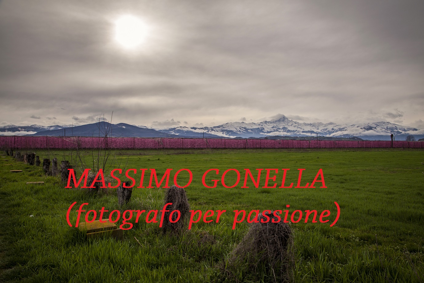 MASSIMO GONELLA (fotografo per passione) - panettaelena@alice.it